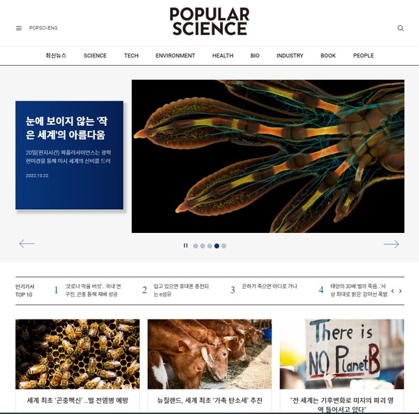 파퓰러 이미지
