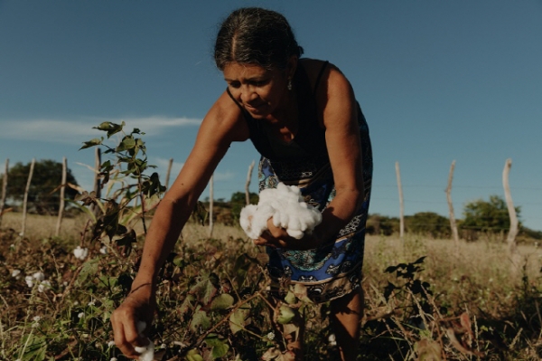 [사진=포춘US] 베자는 브라질과 페루의 유기농 면 생산자들과 직거래를 하고 있다.