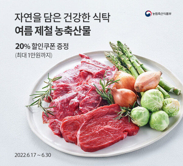 무료 슬롯 사이트