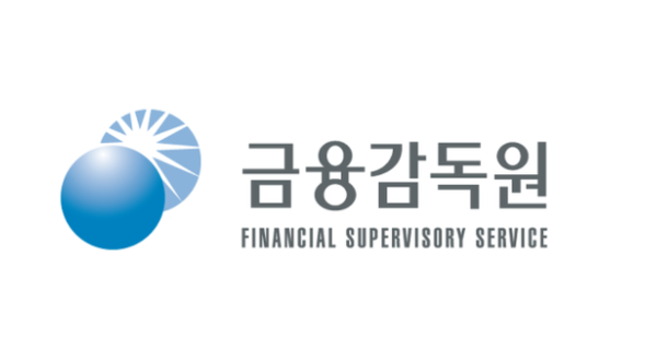 금융감독원 CI