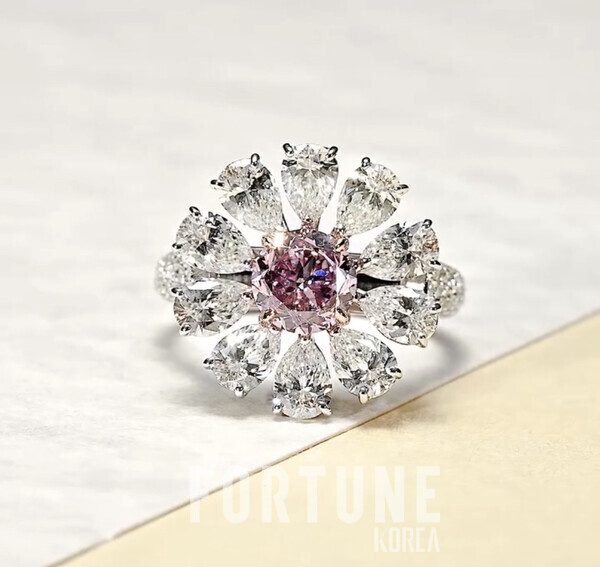 [사진=무료 슬롯사이트]