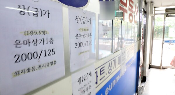 [사진=뉴시스]