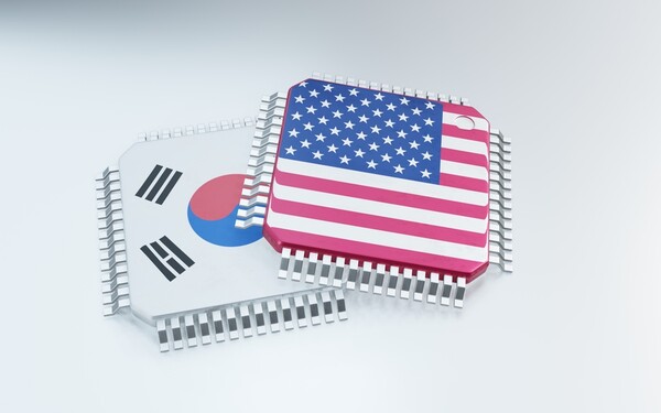 바카라 나락