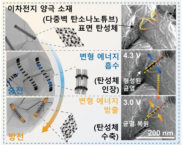 나노 스프링 도입에 따른 활물질 균열 복원 과정 모식도 [사진=바카라사이트] 