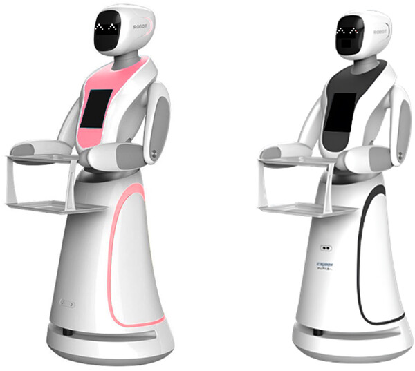연구에 사용된 서비스 슬롯사이트 소닉 메이저 로빗. [자료=Gendered robots and persuasion: The interplay of the robot's gender, the consumer's gender, and their power on menu recommendations]