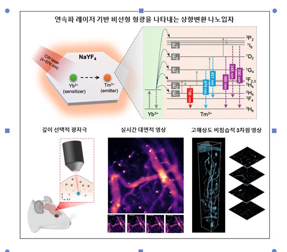 연속파 레이저 기반 상향변환 나노입자를 활용한 비선형 형광 영상 원리와 응용 예시 [자료=슬롯 잭팟] 